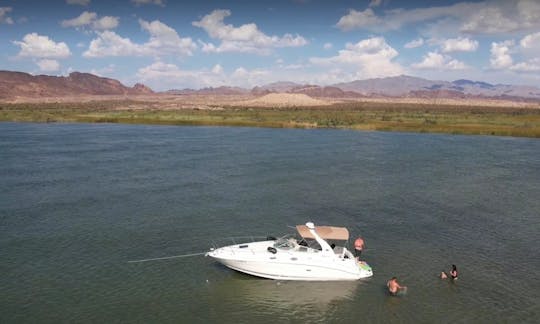 34ft Sea Ray Sundancer Yacht with USCG Licensed Captain