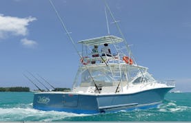 Lures USA 31ft Big Game Fishing Vessel & Island Hopping in Seychelles