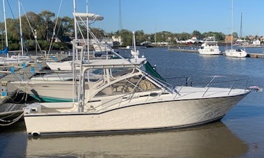 Alquiler de Carolina Classic 35 Express de «Miss Carolina» en Key West, Florida