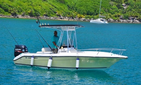 Century Fishing Boat 21ft for Fishing Charter in Seychelles
