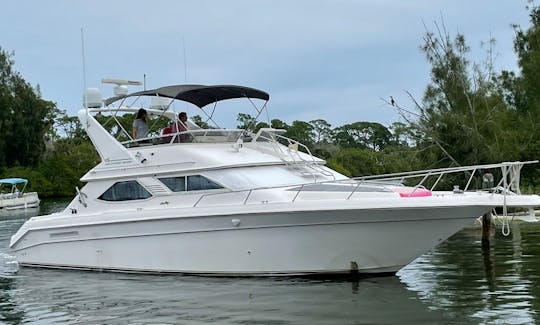 ''High Heels'' Sea Ray 440 eb Motor Yacht Rental in Merritt Island, Florida