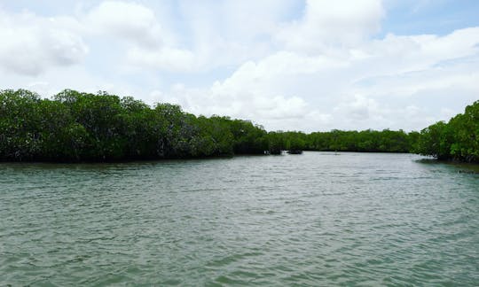 Excursion en bateau à Wilpattu et safari en jeep - Excursion en bateau