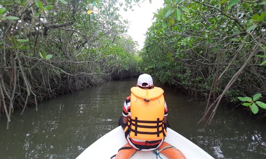 Mangrove Point - Kalpitiya Sri Lanka