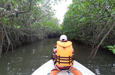 Mangrove Point Kalpitiya - Boat Trip