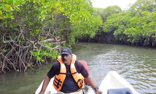 Mangrove Point - Kalpitiya Sri Lanka
