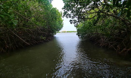 Mangrove Point - Kalpitiya Sri Lanka