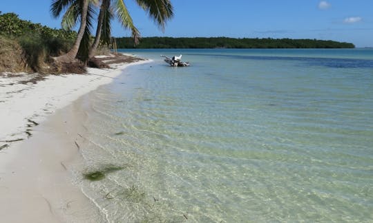 Looking for that perfect beach to get lost on for hours?  Look no further!