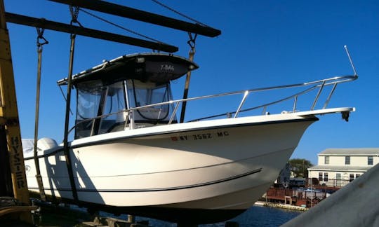 Fishing Charter on Sea Boss Center Console Boat in Brooklyn, New York