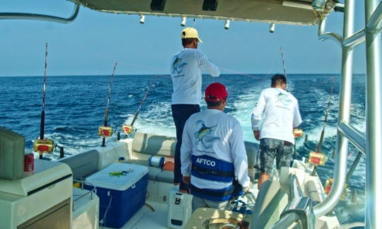 Half and Full Day Sport Fishing Trips in Fujairah