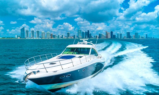 Rent a Luxury Yachting Experience! 65' SeaRay (ALL-INCLUSIVE PRICE!)