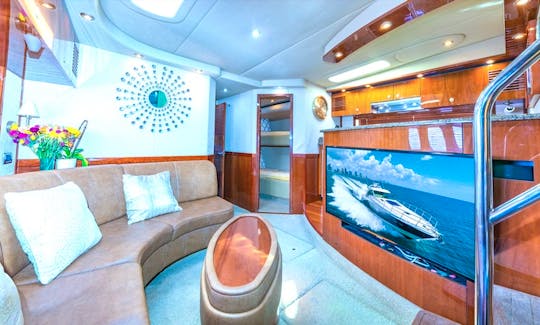 Rent a Luxury Yachting Experience! 65' SeaRay (ALL-INCLUSIVE PRICE!)