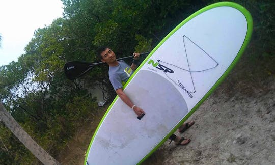 Stand Up Paddle Board Rental in Tampa Bay