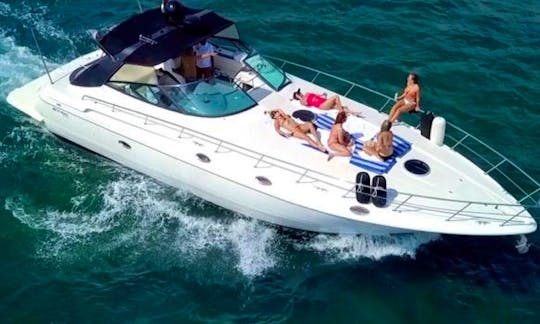 Daily Luxury Yacht Tours for Charter in Cancun to Isla Mujeres
