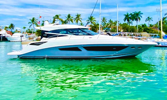 The Private Sea Ray Sundancer 480 Yacht Charter