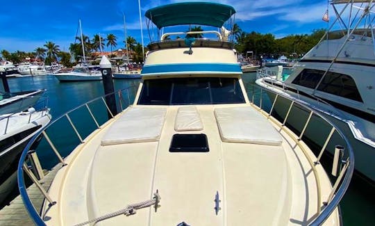 🌴🛥️ 50ft Yacht Carver in Vallarta