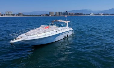 🛥️🏝️46 ft Sea Ray Motor Yacht Rental in Nuevo Vallarta ☀️