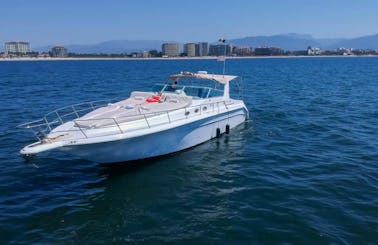 🛥️🏝️46 ft Sea Ray Motor Yacht Rental in Nuevo Vallarta ☀️