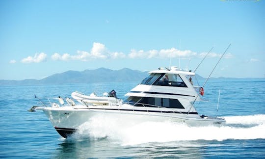 50' Fly Bridge Sport Fisherman for Daily Cruise or Fishing Charter in Queensland