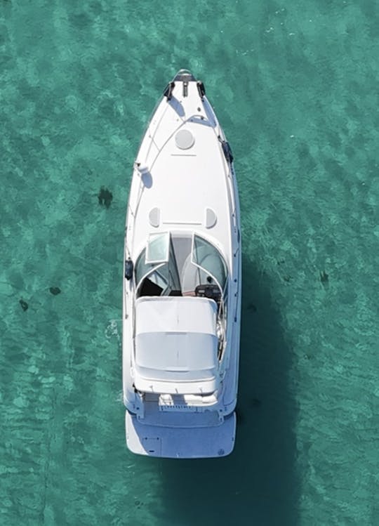Cruiser 38 Palomino e Icacos Dream Boat