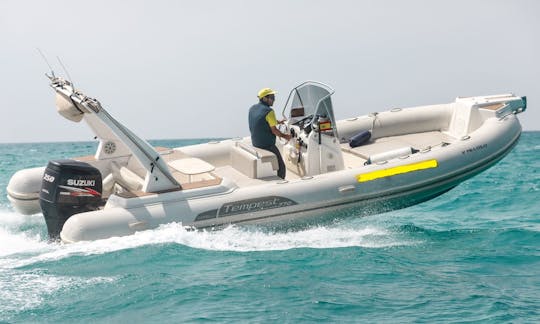 Alquiler de Capelli Tempest 770 Sun RIB 250HP en Can Pastilla, Illes Balears