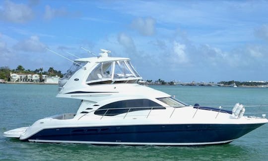 Alquiler del sedán Sea Ray «One Love» en Key Biscayne, Florida