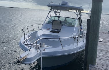 Proline 32ft Private Wildlife Charter in Bahamas