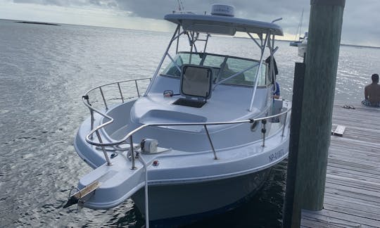 32ft Proline 4 Island Snorkeling Tour in Bahamas!