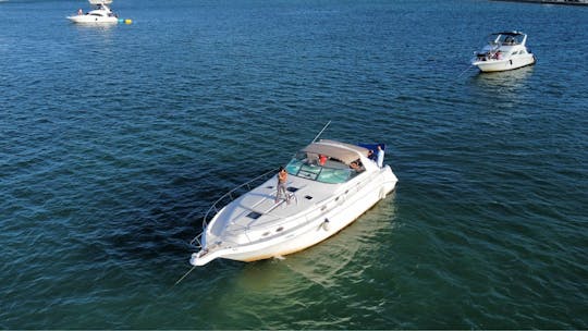 Sea Ray sportif de 50 minutes à Miami | 1 heure GRATUITE + champagne !