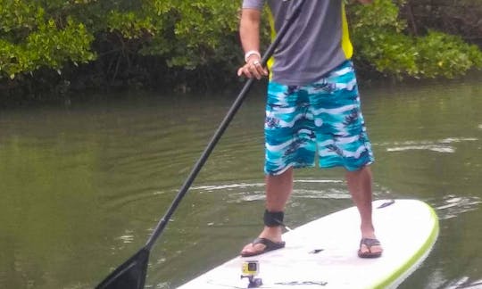 Stand Up Paddle Board Rental in Tampa Bay
