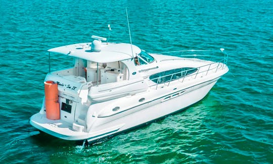 Sea Ray Motor Yacht 50ft for Daily Charter in Miami