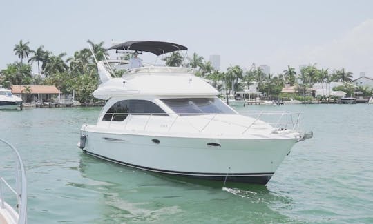 41' Meridian Spectacular Flybridge! 🛥  Fantastic Boat in Miami, Florida!!