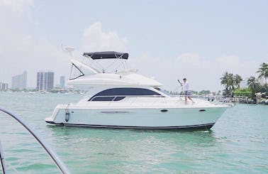 41' Meridian Spectacular Flybridge! 🛥  Fantastic Boat in Miami, Florida!!