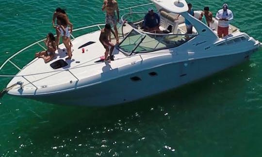 Miami best charter Sea Ray 34ft for up to 10 people