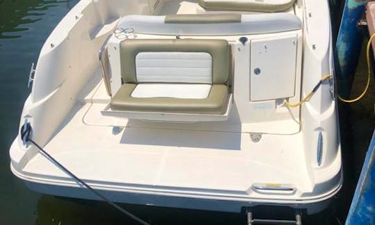 Miami best charter Sea Ray 34ft for up to 10 people