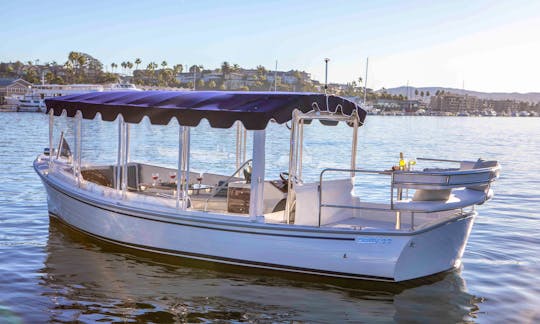 New Elegant Duffy Electric Boat Private Tours with Captain, Wine and Charcuterie Board in Marina del Rey, Los Angeles