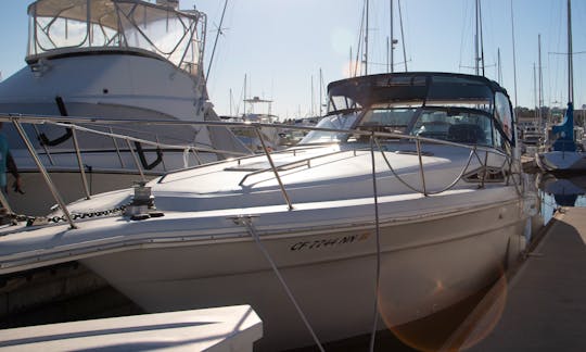34ft Yacht Rental (Christmas Parade and Day/Sunset Charters)