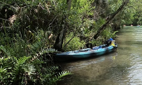 Clean & Comfortable Tandem Kayak for rent! Life jackets + paddles included!