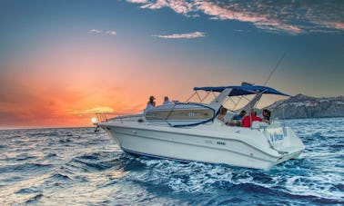 Croisière privée Sea Ray de 33 pieds à Cabo San Lucas