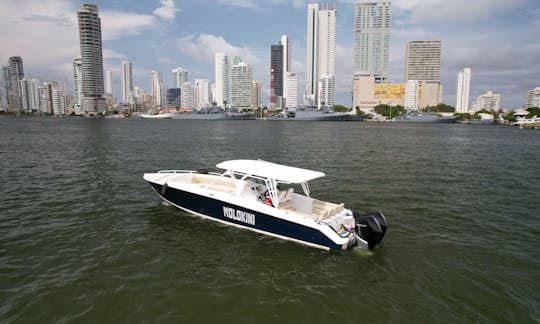 42ft Firpool Center Console Boat for Charter in Cartagena / Rosario Islands 