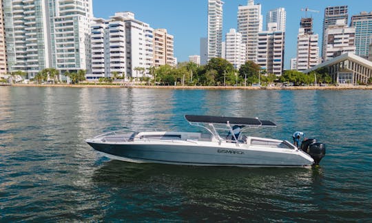 42 ft center console speed boat / Visit Rosario Islands and Baru