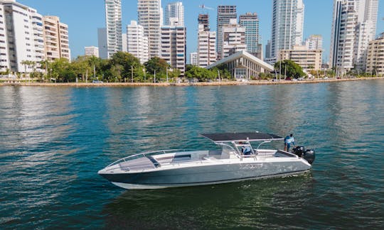 42 ft center console speed boat / Visit Rosario Islands and Baru