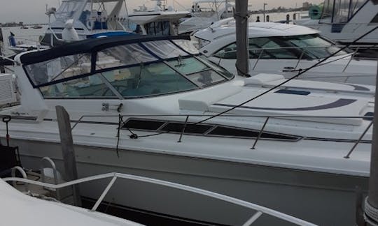 Aluguel de iates a motor “Kings Ransom” Sea Ray 420 Sundancer em Miami Beach, Flórida