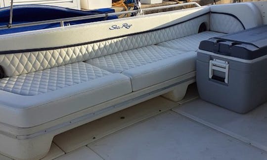 ''Kings Ransom'' Sea Ray 420 Sundancer Motor Yacht Rental in Miami Beach, Florida