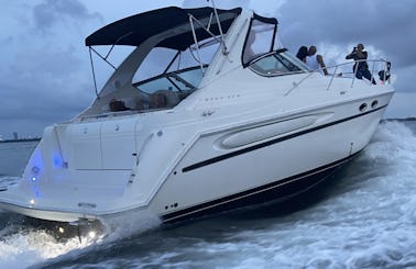 Maxum 40' Motor Luxury Cruising Yacht in Miami