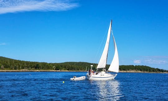Sweet Sailing Adventures on Chips