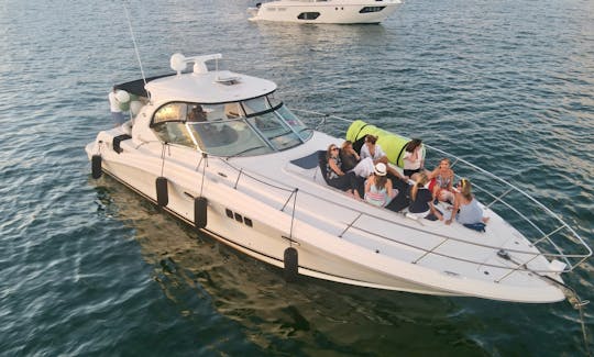 5⭐️ SeaRay 48ft🛥 Monday to Thursday one FREE hour 🥂🍾 FROM $500