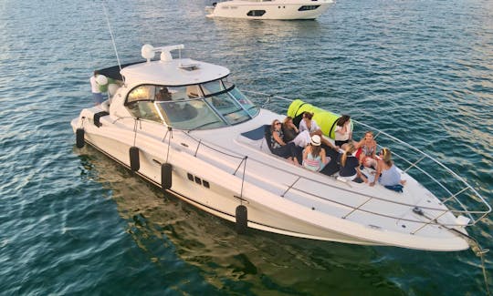 5⭐️ SeaRay 48ft🛥 Monday to Thursday one FREE hour.🥂🍾 FROM $600