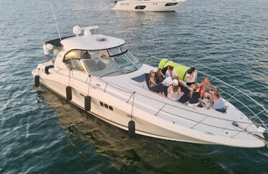 5⭐️ SeaRay 45ft🛥 Monday to Thursday one FREE hour.🥂🍾