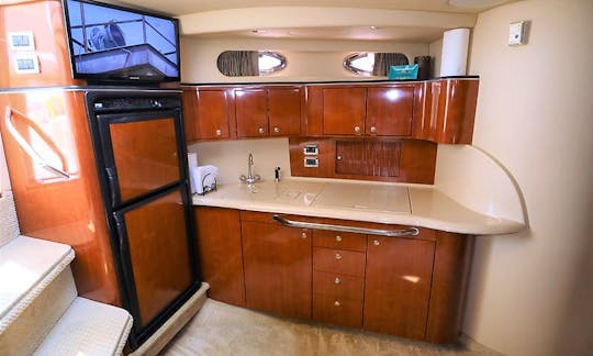 46' Beautiful Sea Ray Yacht - Perfect for Parties - 12 Guests