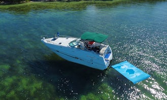 Key Largo snorkeling & Sandbar trip Aboard Mariah 26' Cruiser!